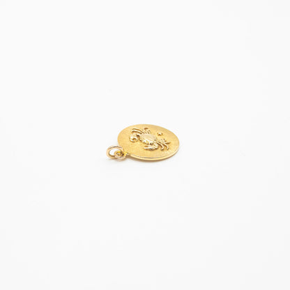 Zodiac Pendant Necklace