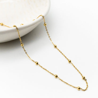 Dotted Chain
